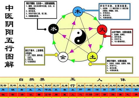 科技五行属什么|科技五行属什么行业